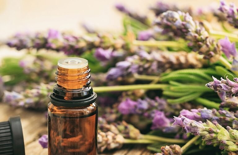 Stressed by 10am? Here’s What One Drop of Lavender Actually Does